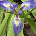 DSCN1280