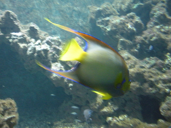 DSCN1946