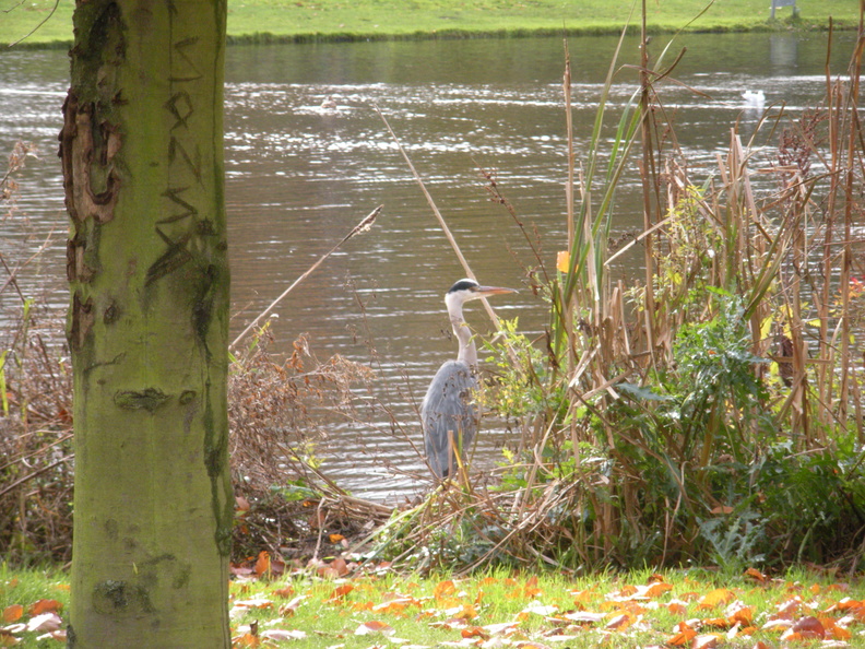 DSCN1956.JPG