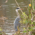 DSCN1957