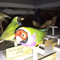 IMG_20120130_163545