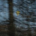 DSCN2090