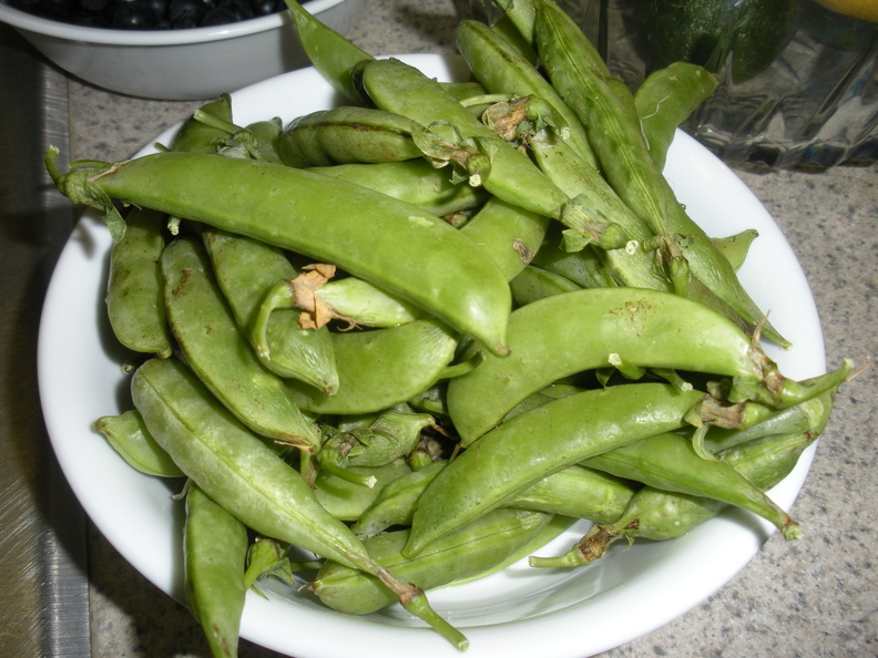 DSCN1289.jpg
